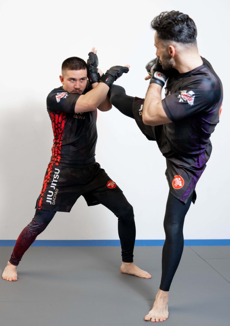 MMA Training, Luta Livre, BJJ Dachau, Grappling, Octagon, UFC, Kampfsport, Kickboxen, Boxen